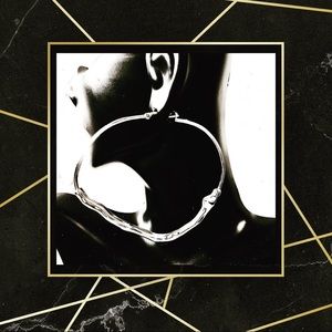 The Olive Branch Hoop